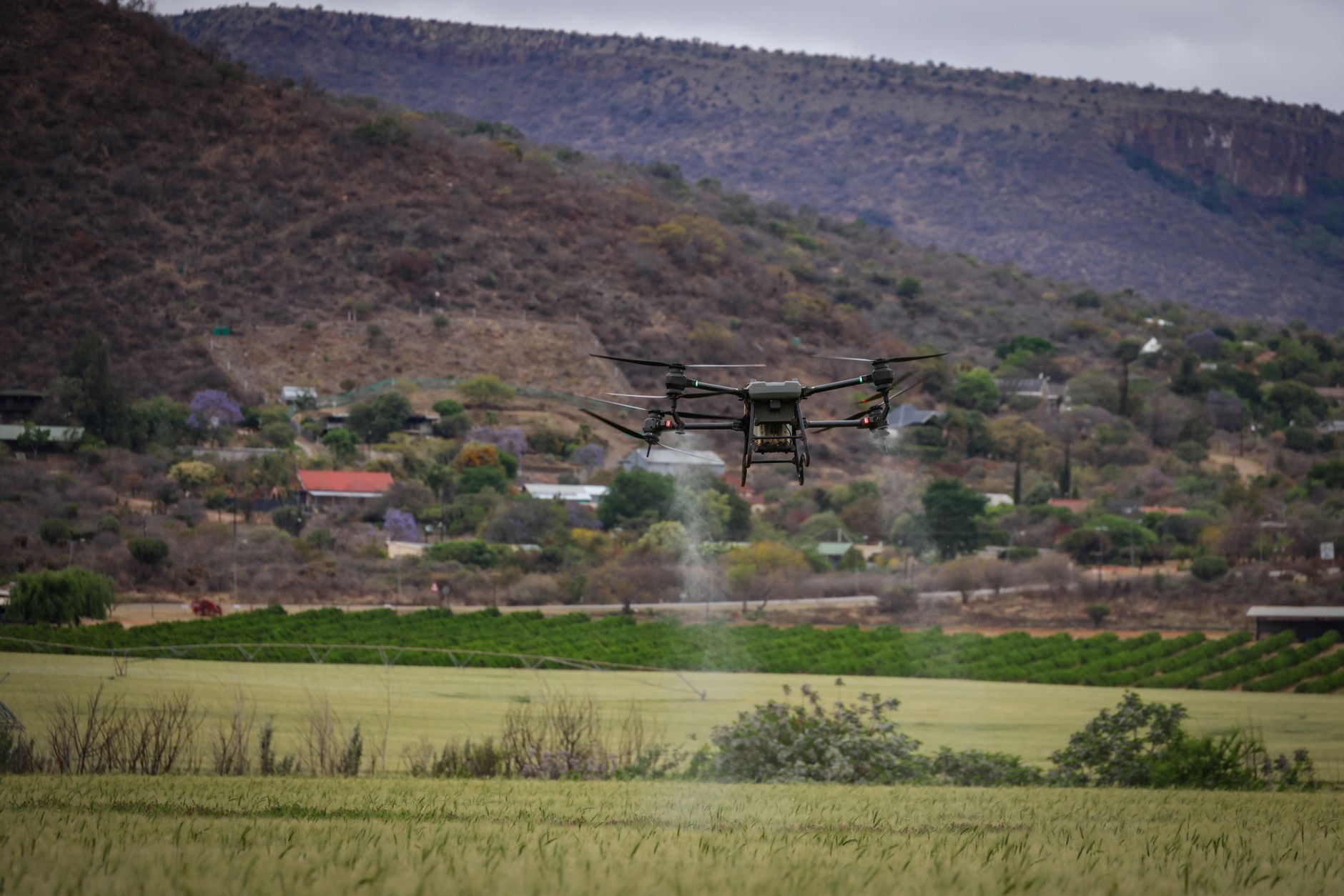 Israeli agtech startup